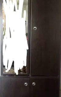 جا کفشی