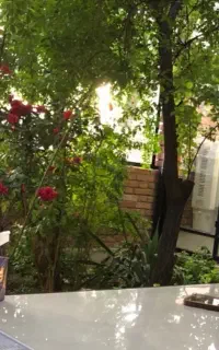 کار دفتری و اداری لطفا