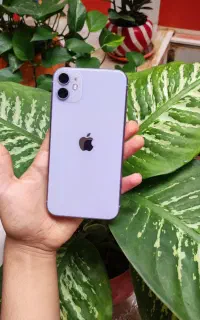 آیفون11 و شیائومی