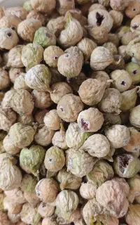 انجیر سفید سال  استهباناتی