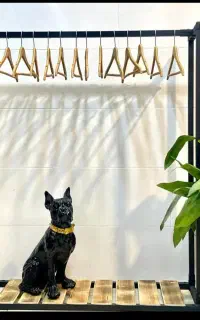 اویز لباس و کفش