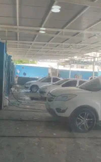 کارگر نیروی کارواش