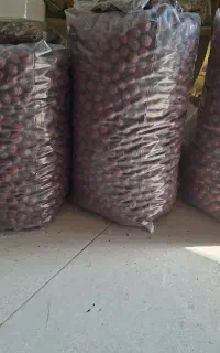 عناب خشک نرم بیرجند