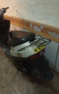 شادگان