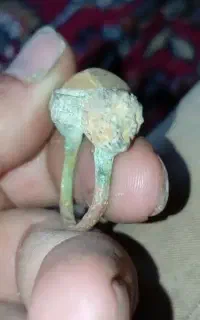 فروش انگشتر کهنه کسی خواست درخدمتم