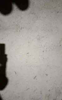 پلاستر زنی و سیمان سفید