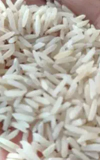 برنج