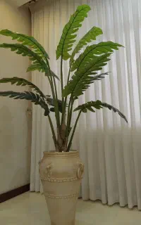 درختچه