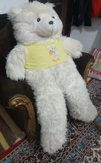 خرس سایزبزرگ تمیزقابل شستشوفروش به علت کمبودجا