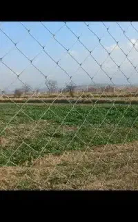 فروش زمین ۳۰۰ متری مناسب سرمایه گذاری نزدیک گرگان