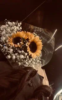 انجام انواع بیمه با تخفیف ویژه