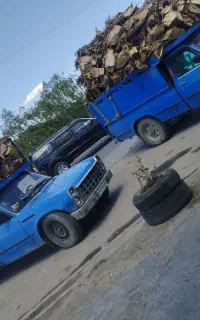 خریدار چوب وریشه