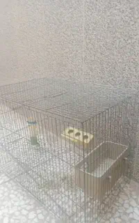 قفس پرند