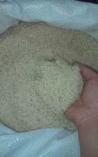 برنج دانه بلند اصل