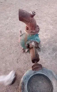 خنزیره ۶به ۶ با گاردون