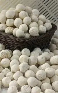 دوغ پرچرب بز