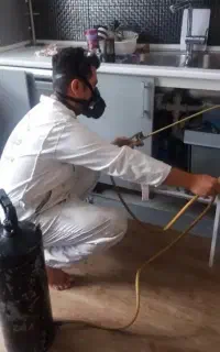 سمپاشی حشرات(ساس سوسک)۱۰۰%تضمینی کل تهران سم پاشی