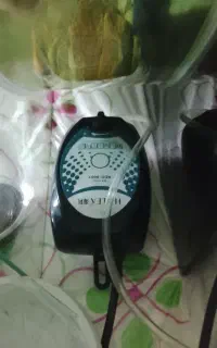 پمب هوا اکواریوم