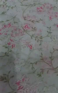 چادر مجلسی