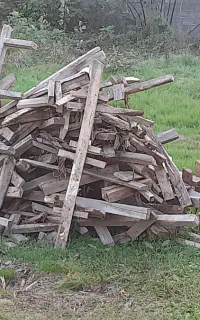 هیزم‌چوب‌خشک