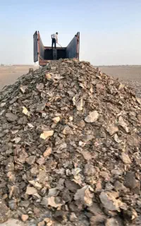 کودمرغی خالص سالنی نقد و نسیه