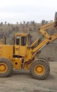 برگ سبز لودر و گریدر