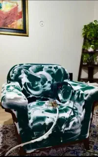 شستشوی انواع مبل و فرش الماس