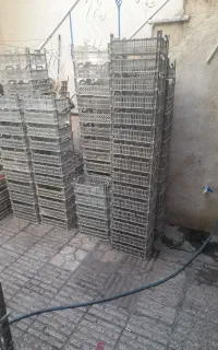 سبد میوه ۸ کیلویی