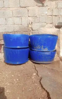 بشکه پلاستیکی مناسب آبشخور