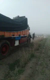تک طلا مدل ۶۲ایران
