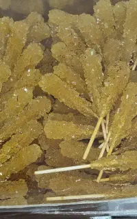نبات چوبی