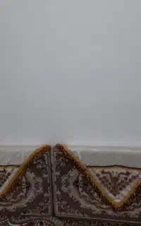 پشتی