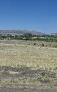 سرمایه گذار