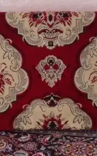 پشتی یک جفت