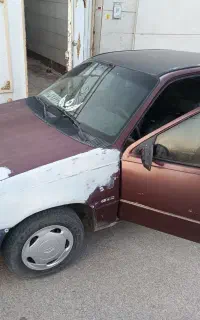دوو ریسر زرشکی