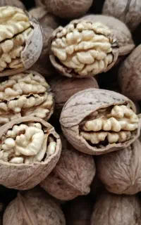 گردوی اعلای ملحمدره