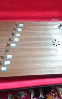 سنتور سالم چوب گردو