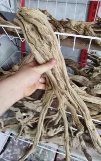چوب آکواریوم