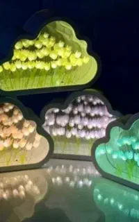 چراغ خواب دشت لاله بینهایت