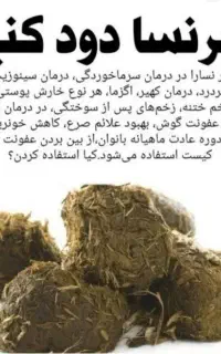 انبرنسائ تازه برای درمان همه عفونت ها
