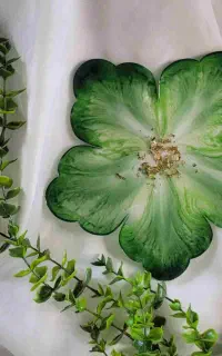 سرویس بشقاب میوه خوری و‌ آجیل خوری