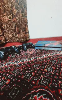 ps4فت کپی خور