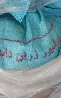 دان ماهی کپور و آمور