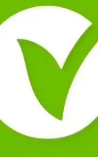 ضامن لازم دارم