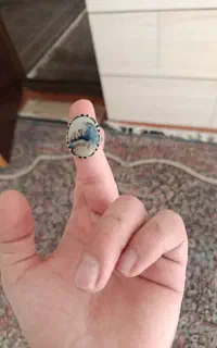 شجر منظره زیبا