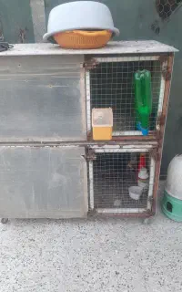 قفس حرفه ای