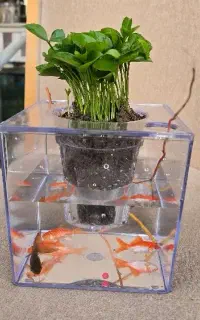 گلفروشی دوپامین(حس خوب)