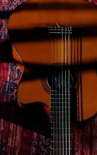 خواننده و نوازنده گیتار کلاسیک/پاپ/اجرا کافه