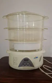 بخار پز