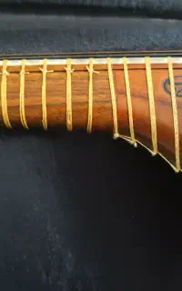 تار استاد دستجردی مهر دار